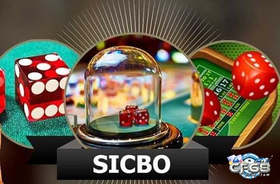 Cách chơi Xí ngầu online hiệu quả nhất cho người mới