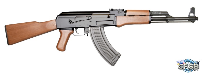 Assault Rifles (súng trường đạn) - một trong cac loai sung cf trung hợp phổ biến và đa dụng