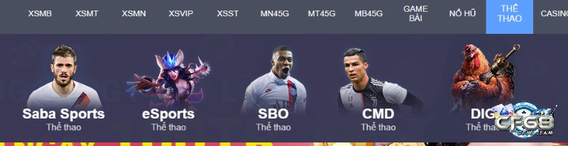 Thể thao tại web cược là một sân chơi sôi động