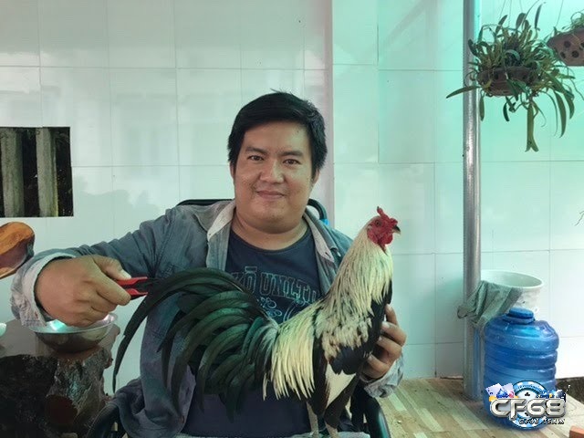 Không nên thực hiện cắt lông gà vào mùa đông