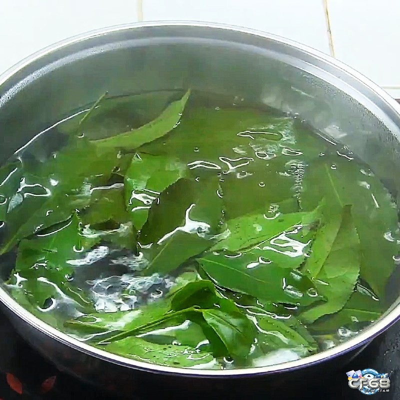 Tắm gà đá bằng trà xanh sẽ giúp cho bộ lông của gà trở nên bóng mượt
