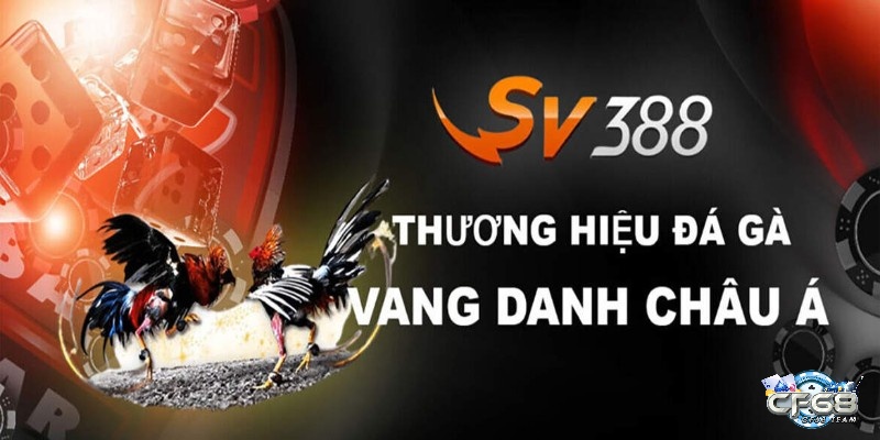 Những ưu điểm nổi trội chỉ có tại nhà cái đá gà Sv388