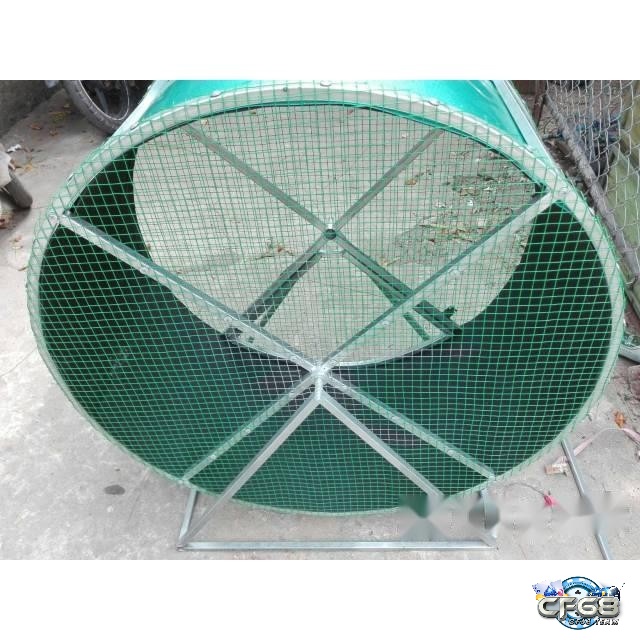 Sử dụng máy chạy để gà chọi tập luyện thường xuyên