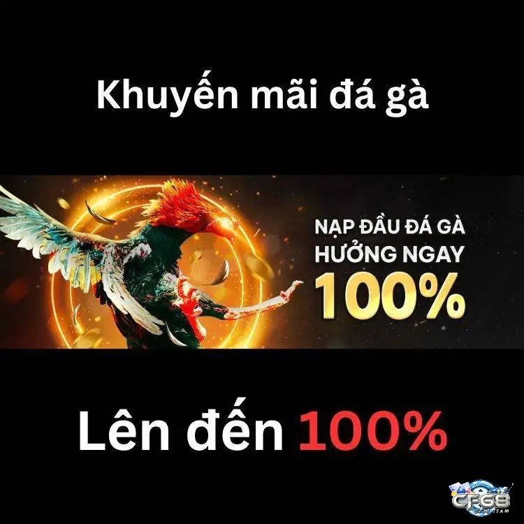 Lựa chọn nhà cái có nhiều khuyến mãi để tăng vốn