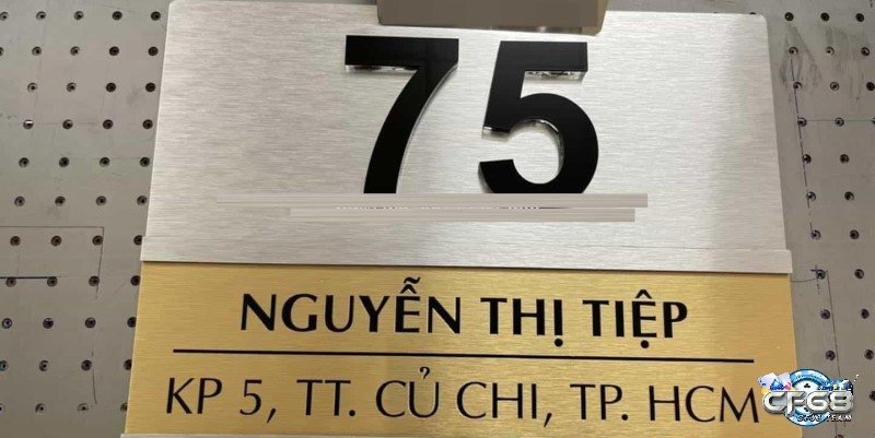 Tìm hiểu về điểm báo khi nằm mơ thấy số 75 trên biển số nhà
