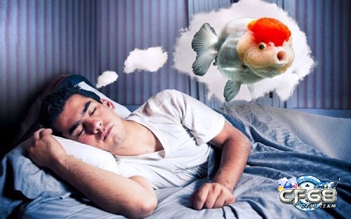 Nước trong mơ câu cá biểu thị cảm xúc và tiềm thức, nước trong sáng thể hiện sự rõ ràng trong suy nghĩ và cảm nhận