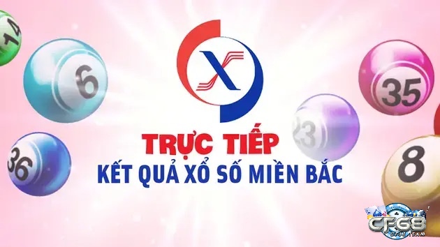 Đề về 98 mai đánh con lô gì? Các số cặp số như 22, 33, 50 có xác suất ra khá cao.
