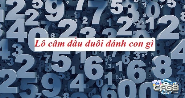 Phương pháp thống kê chu kỳ là cách tiếp cận khoa học nhất khi giải quyết vấn đề lô đầu câm đánh con gì