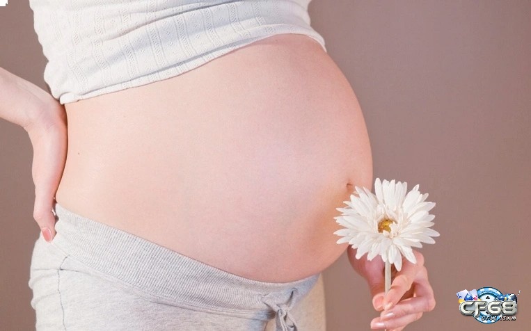 Giải mã giấc mơ thấy bà bầu có số đề lộc lá